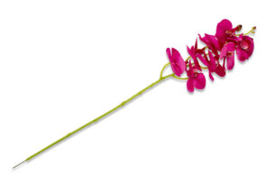 ORCHES, https://konsimo.pl/kolekcja/orches/ Kwiat Orchidea fuksja - zdjęcie