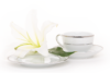 NEW HOLLIS PLATIN Serwis herbaciany polska porcelana 6 os. 18 elementów biały / platynowy wzór Platin - zdjęcie 12