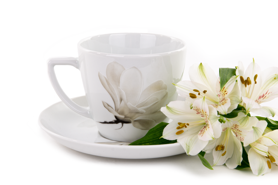 BOSS MAGNOLIA Zestaw porcelanowy obiadowo-kawowy na 6 os. Biały / wzór magnolii Magnolia - zdjęcie 11