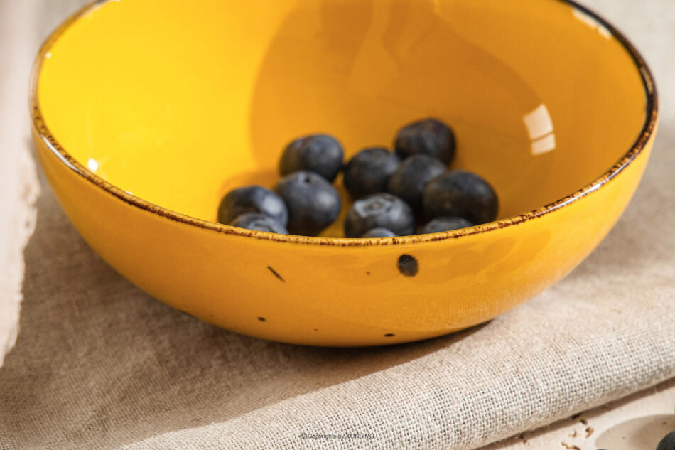 ALUMINA Salaterka miska Cottage Yellow Cottage Yellow - zdjęcie 5